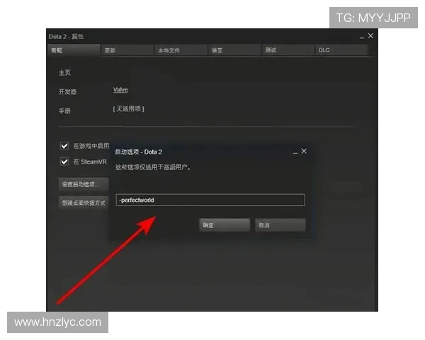 dota2更新失败怎么解决？dota2更新慢如何优化？新手必备排错指南！